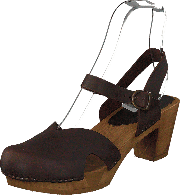 Matrix Ant.brown