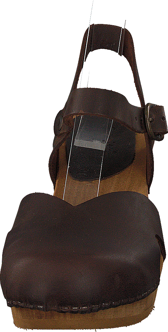 Matrix Ant.brown