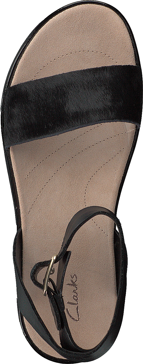 Combi Botanique Lierre Noir