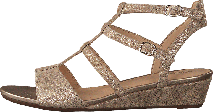 Parram Spice Gold Suede