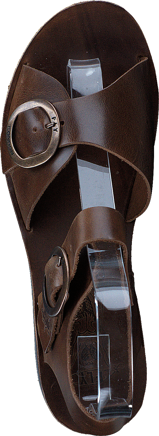 Yech189fly Bridle Camel