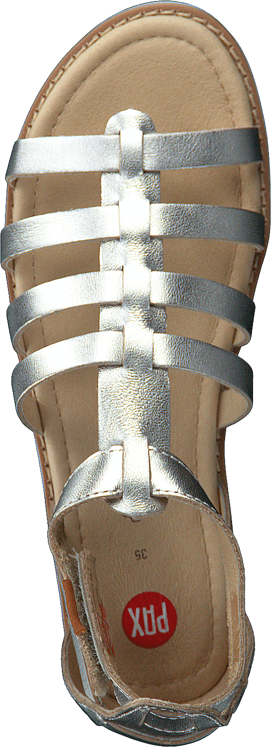 Guss Silver
