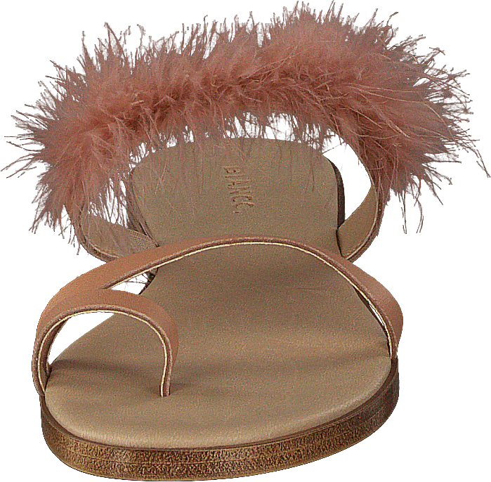 Feather Slip In Sandal Powder