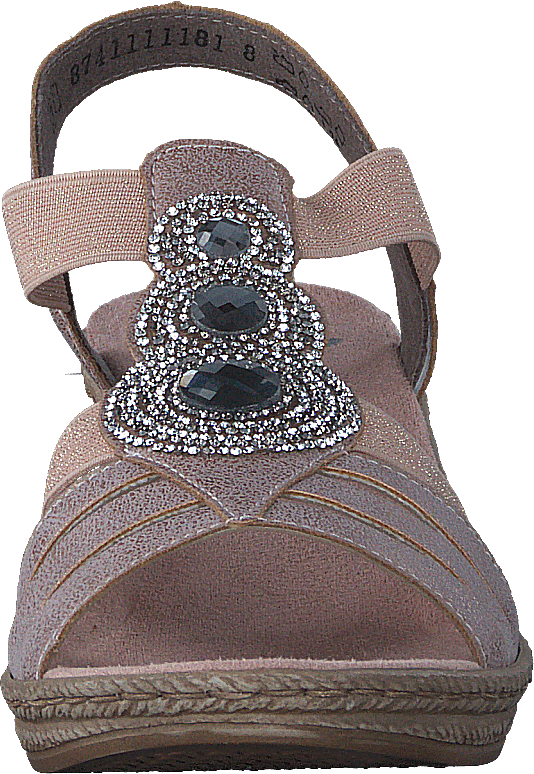 62459-31 Rose