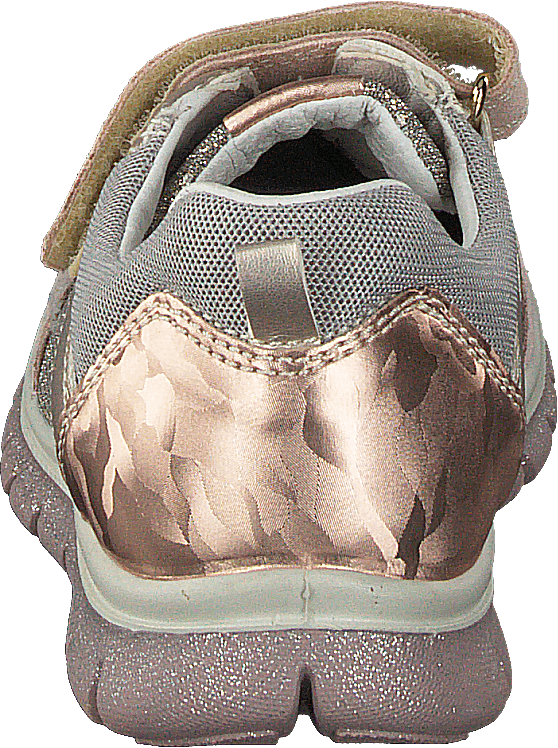 Phl 13729 Skin/corda