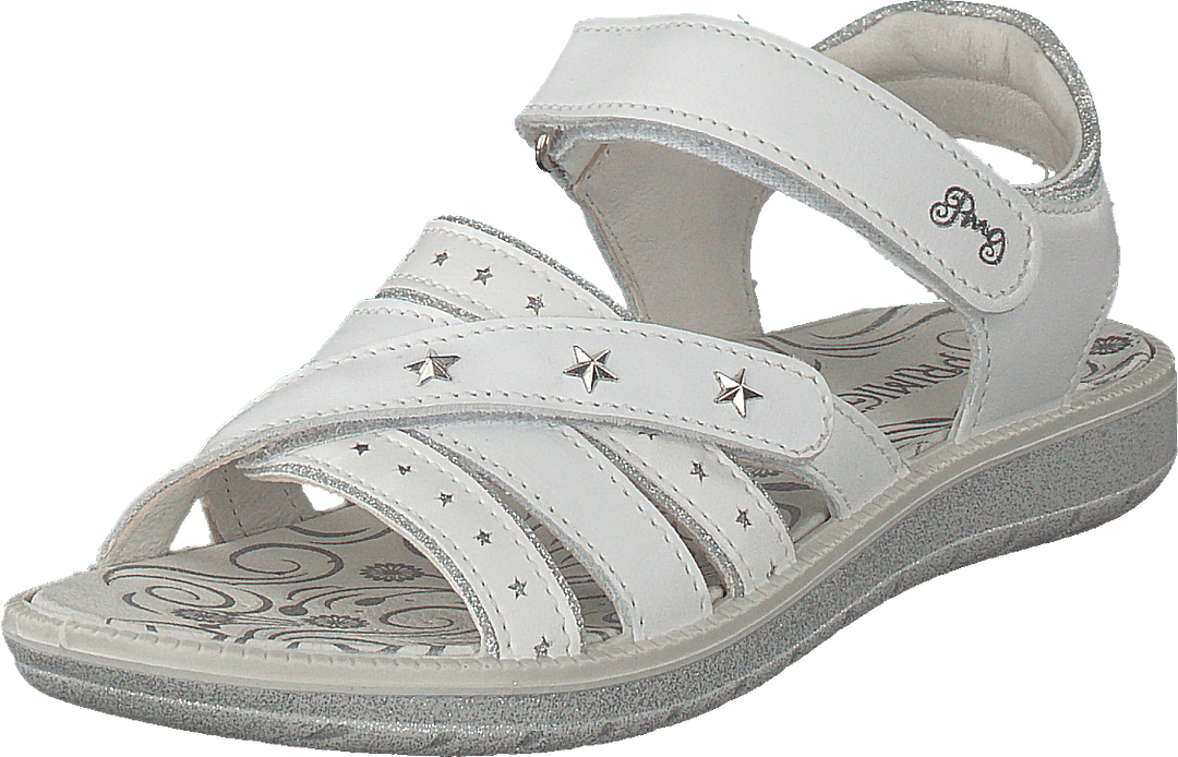 Pal 13806 Bianco/argento