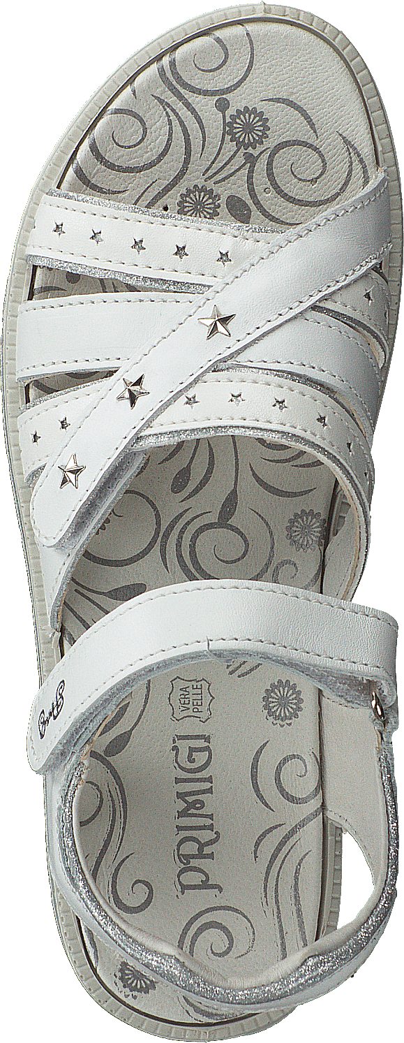Pal 13806 Bianco/argento
