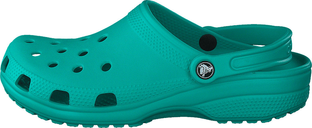 Klassisch Tropisch Teal