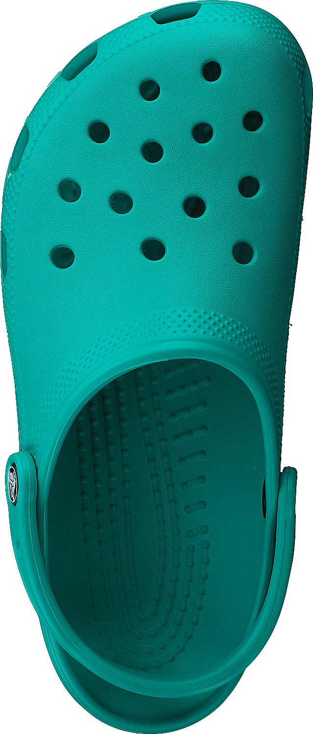 Klassisch Tropisch Teal