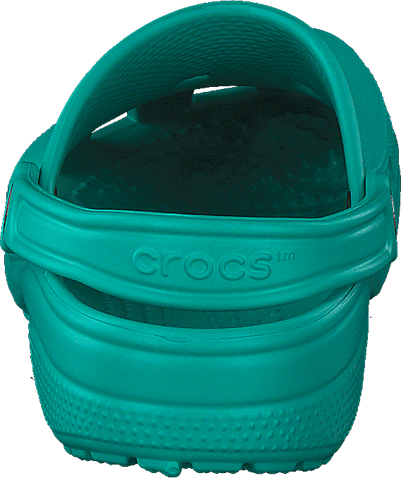 Klassisch Tropisch Teal