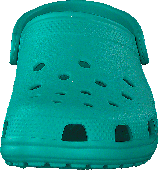 Klassisch Tropisch Teal
