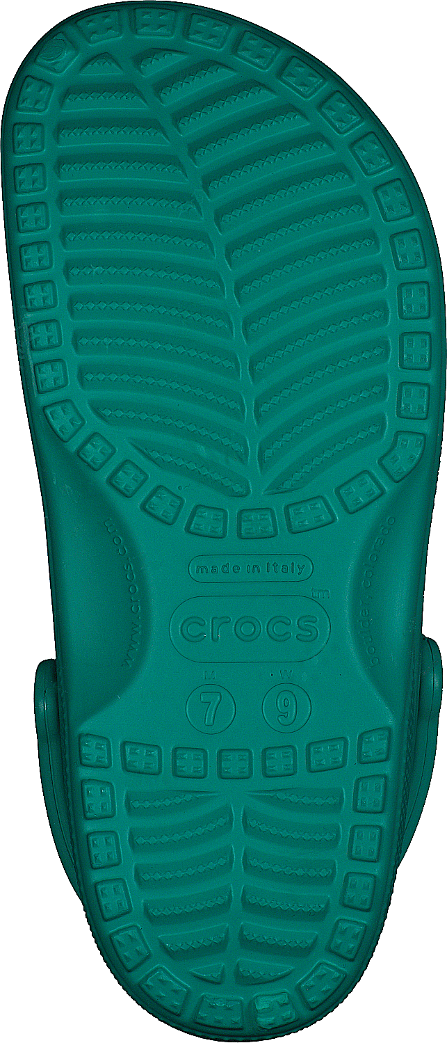 Klassisch Tropisch Teal