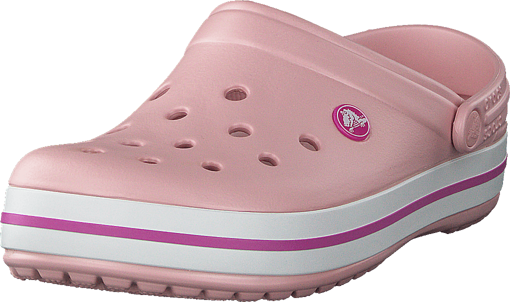 Crocband Pearl Rosa/Orchidea selvatica