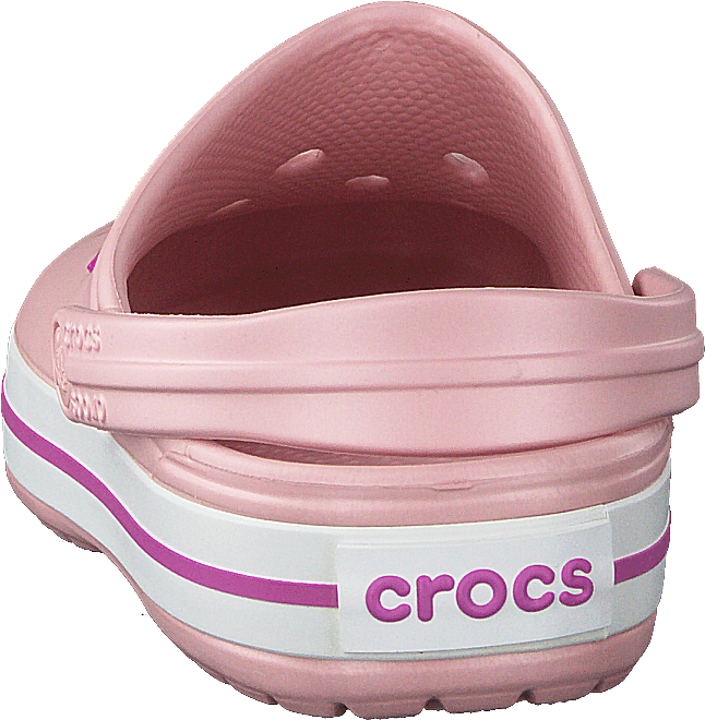 Crocband Pearl Rosa/Orchidea selvatica