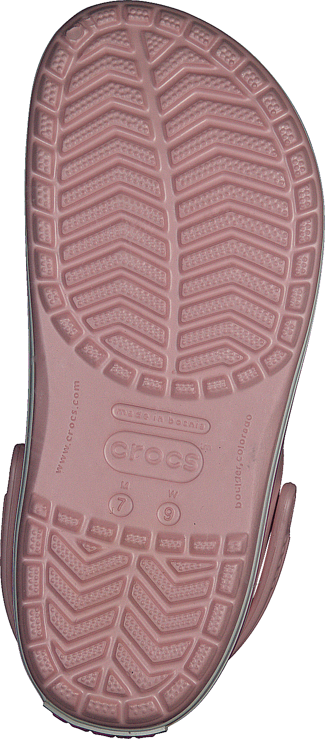 Crocband Pearl Rosa/Orchidea selvatica
