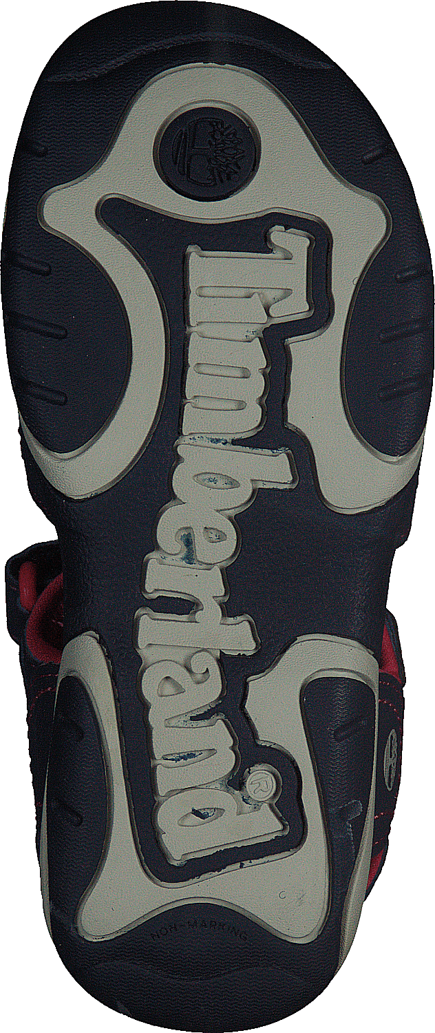 Adventure Seeker 2-strap Black Iris