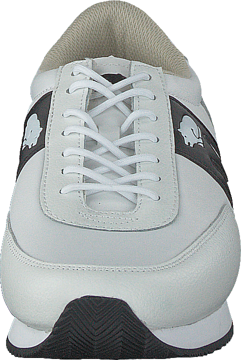 Albatros Weiß - Schwarz