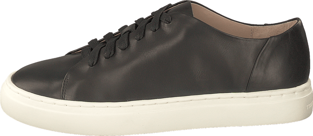 Sinensis Black