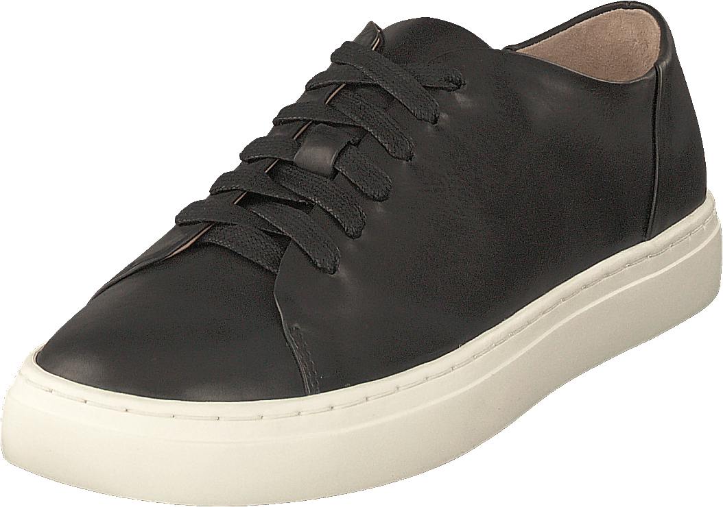 Sinensis Black