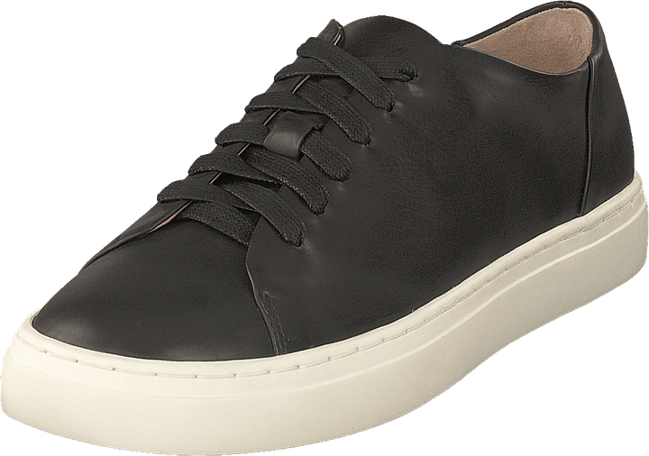 Sinensis Black