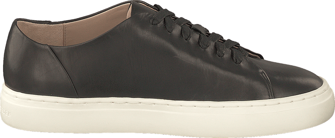Sinensis Black