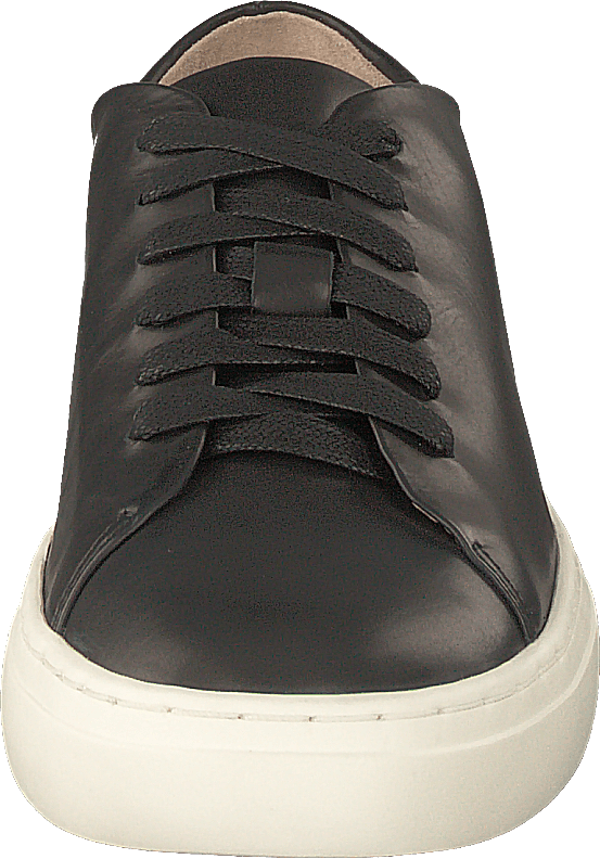 Sinensis Black