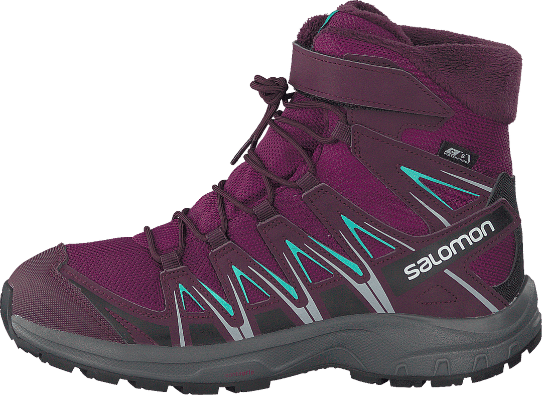 Xa Pro 3d Winter Ts Cswp J Darkpurple/potentpurple/atlant