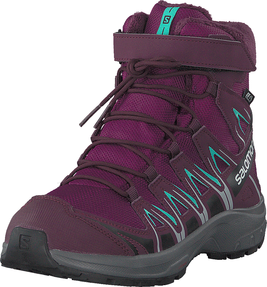 Xa Pro 3d Winter Ts Cswp J Darkpurple/potentpurple/atlant