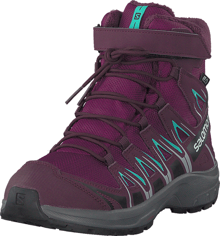 Xa Pro 3d Winter Ts Cswp J Darkpurple/potentpurple/atlant