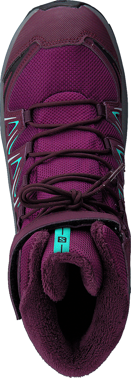 Xa Pro 3d Winter Ts Cswp J Darkpurple/potentpurple/atlant