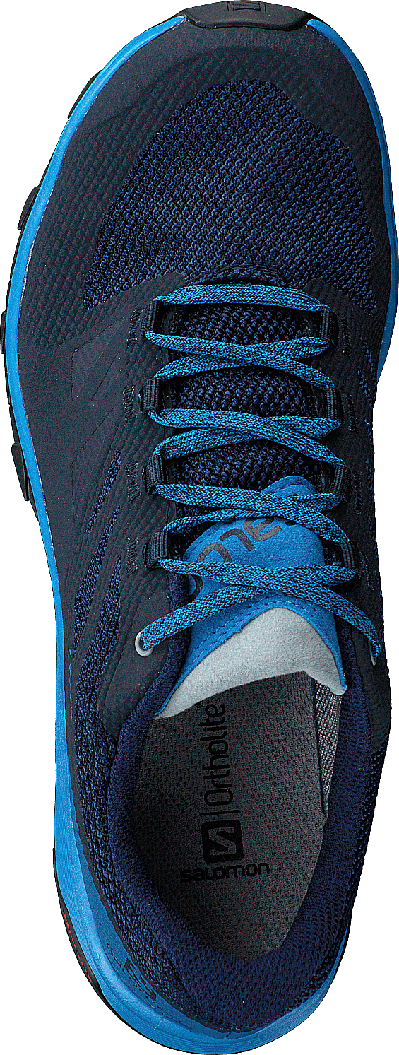 Outline Gtx Navyblazer/indigobunting/quarr