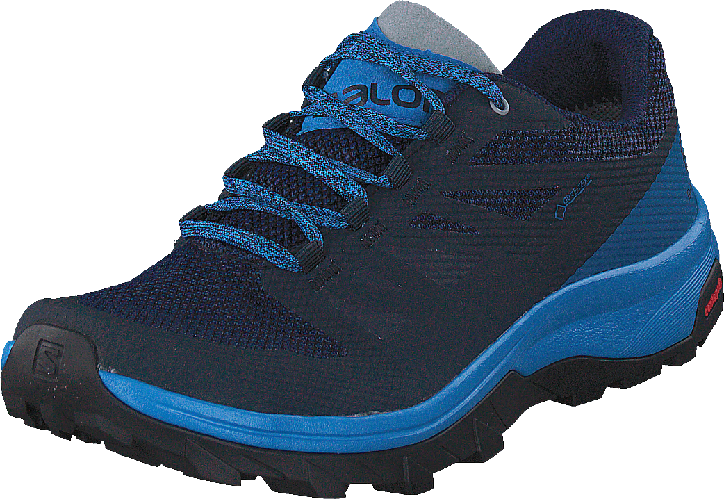 Outline Gtx Navyblazer/indigobunting/quarr
