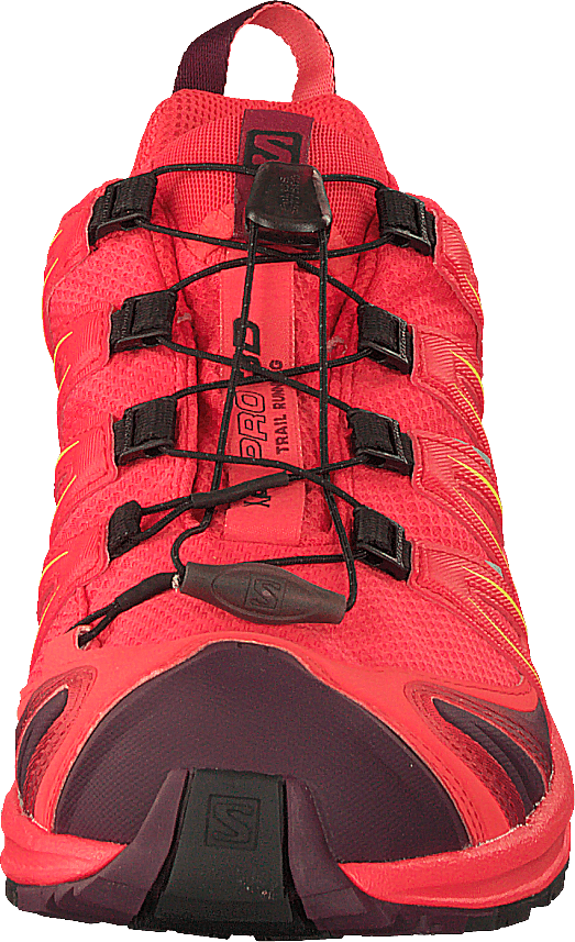 Xa Pro 3d Gtx W Hibiscus/potentpurple/sulphur