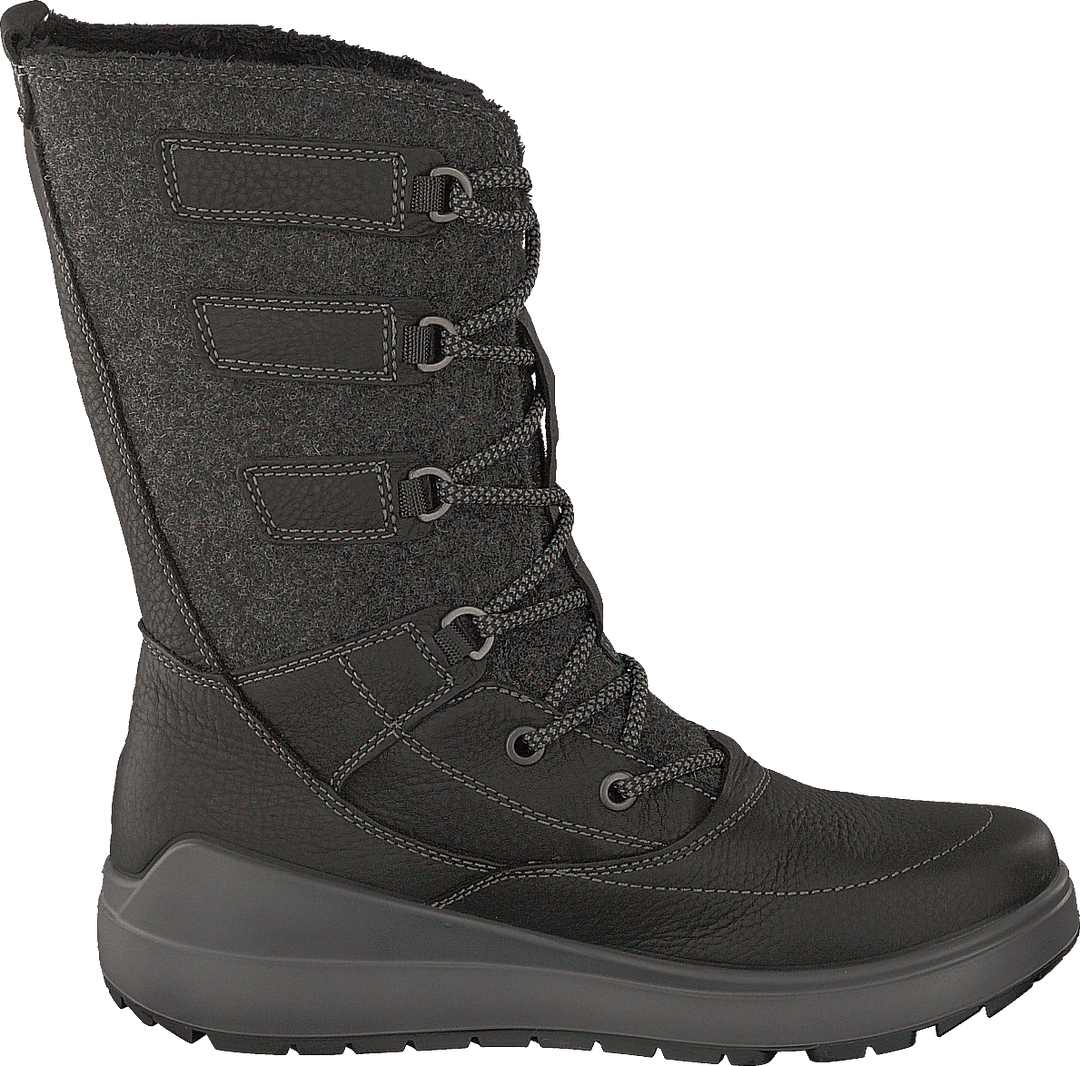 Noyce Black