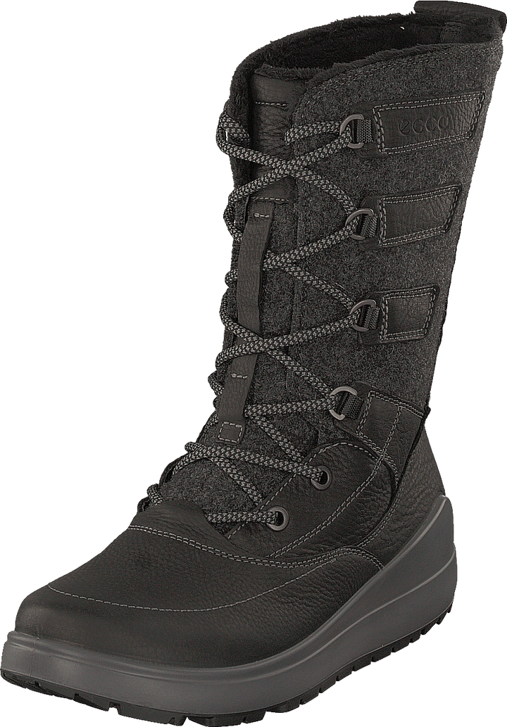 Noyce Black
