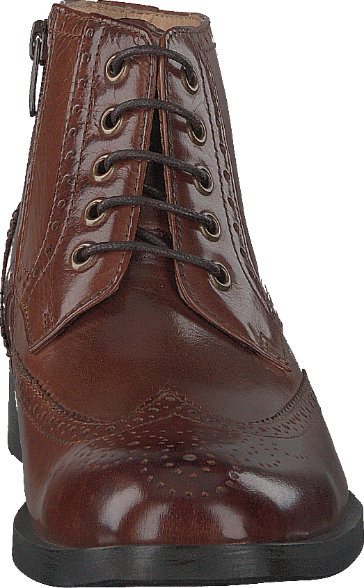 Hardy Brown