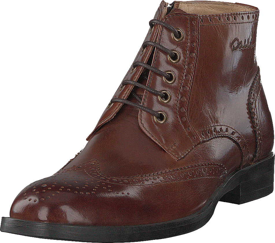 Hardy Brown