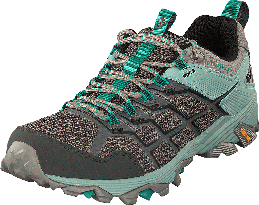Moab Fst 2 Gtx Frost/aquifer