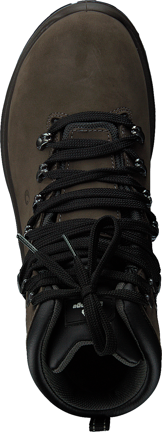 56113705-27 Green