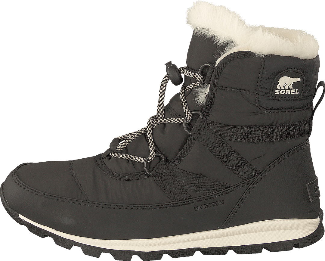 Youth Whitney Short Lace 011 Black Sea Salt