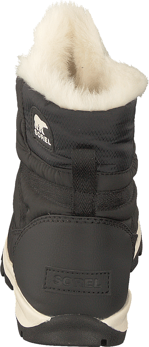 Youth Whitney Short Lace 011 Black Sea Salt