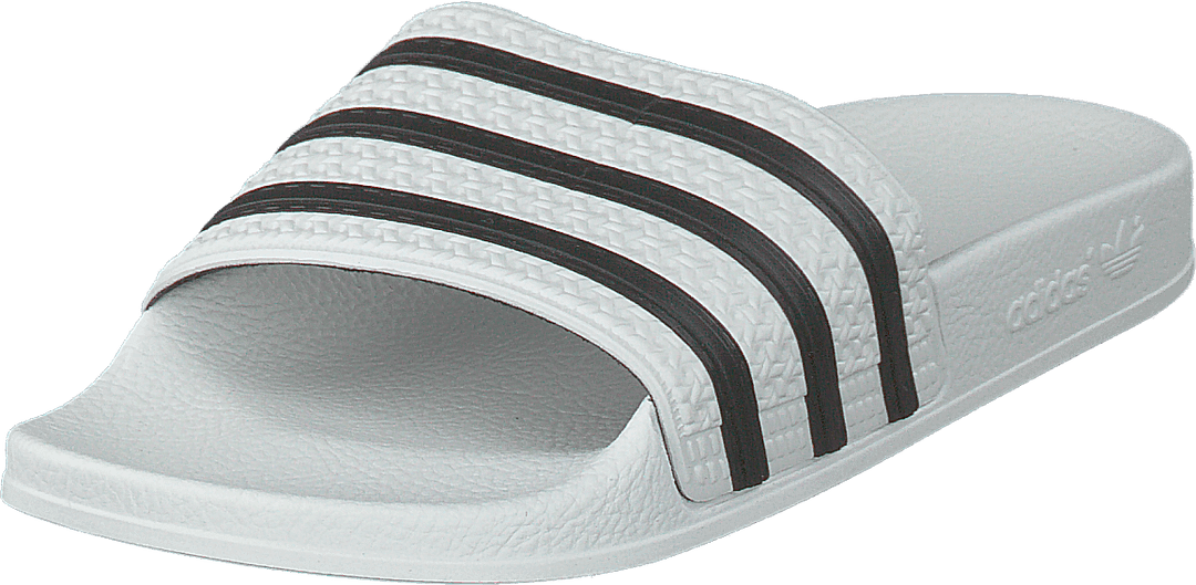Adilette White/cblack/white