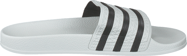 Adilette White/cblack/white