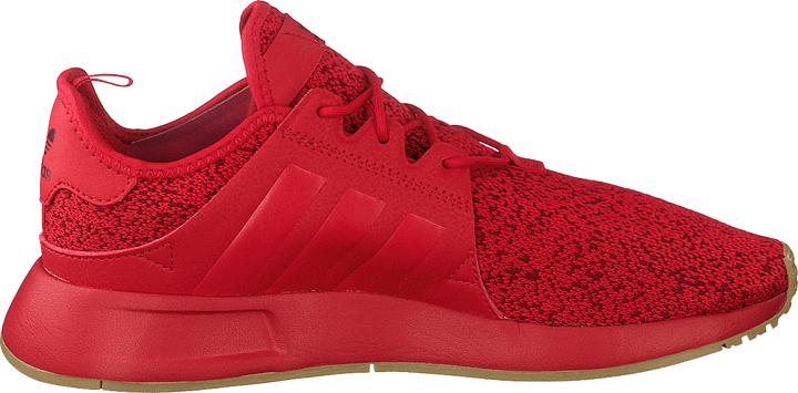 X_plr Scarle/scarle/gum3