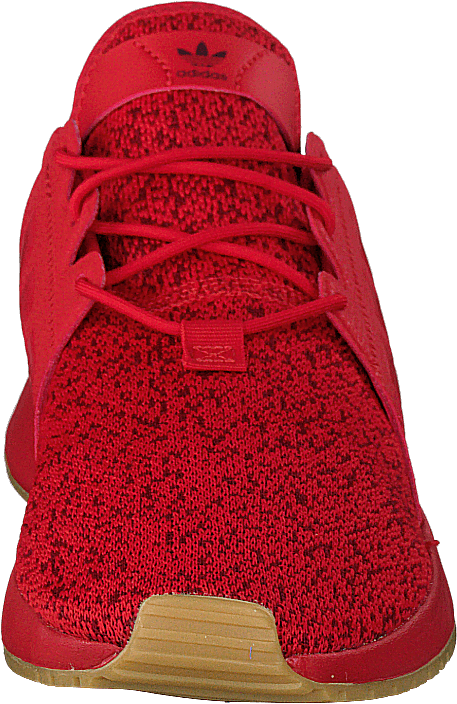X_plr Scarle/scarle/gum3