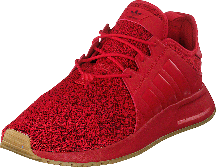X_plr Scarle/scarle/gum3