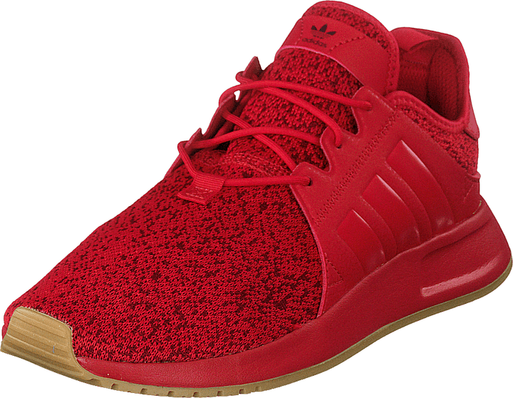 X_plr Scarle/scarle/gum3