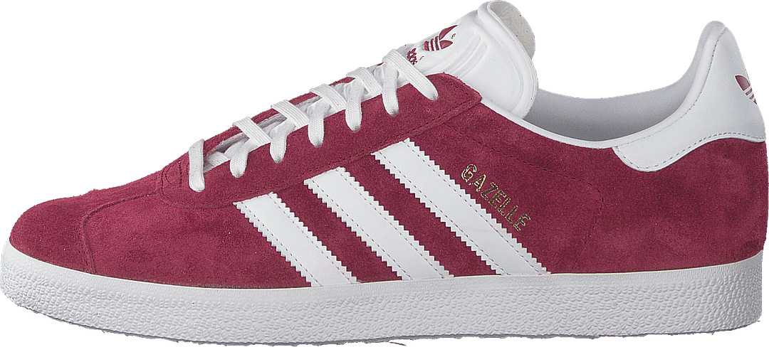 Gazelle Cburgu/ftwwht/goldmt