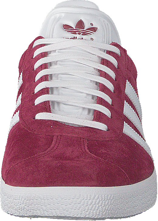 Gazelle Cburgu/ftwwht/goldmt