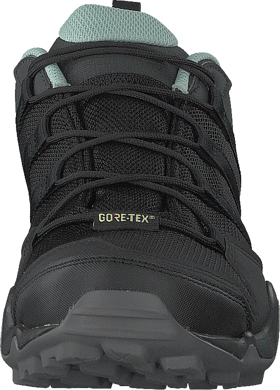Terrex Ax2r Gtx W Cblack/cblack/ashgrn